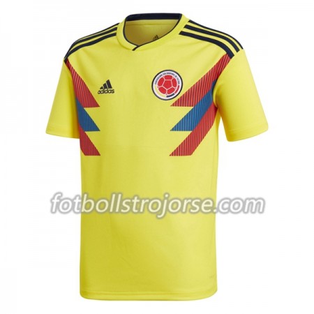 Colombia Matchtröjor Dam Hemma Fotbollströja VM 2018 Colombia Matchtröjor Dam Hemma Fotbollströja VM 2018